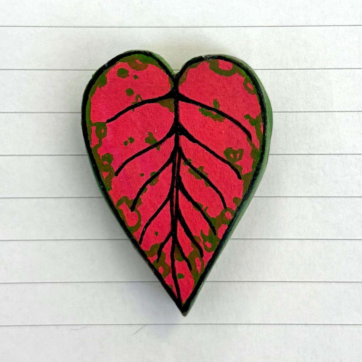 Aglaonema "Pink Butterfly"