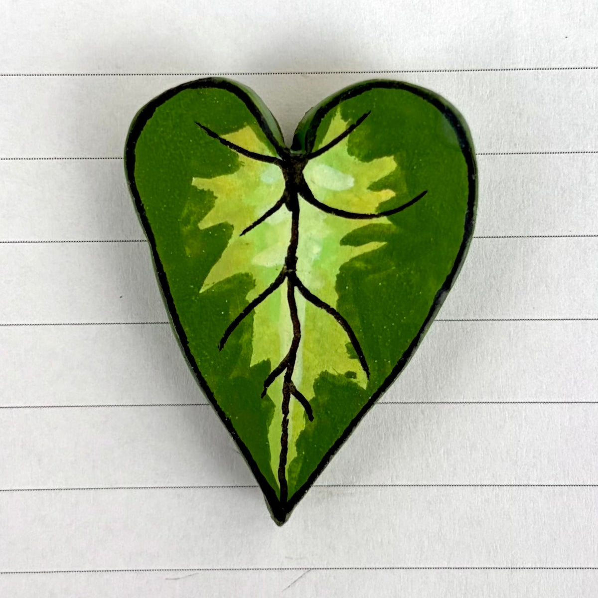 Syngonium Variants