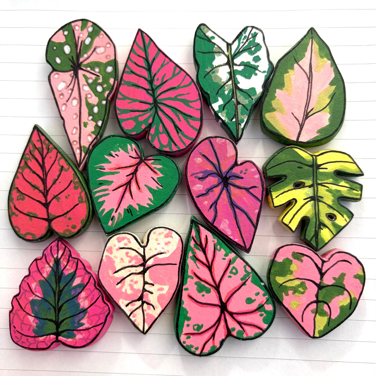 PLANT LEAVES