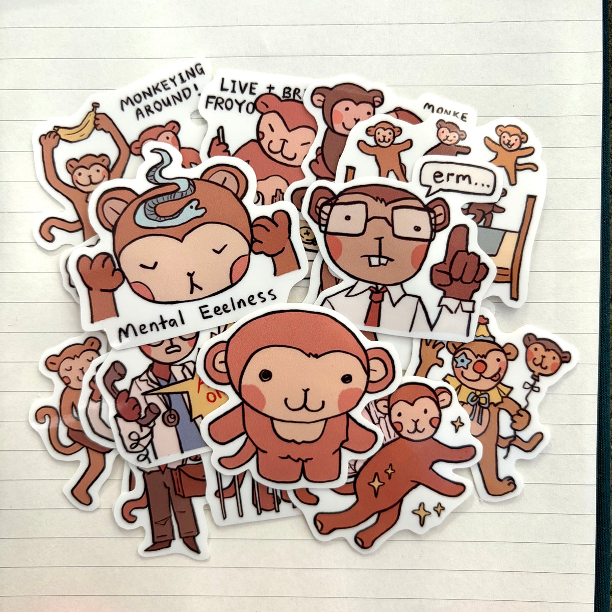 MONKEY COLLECTION