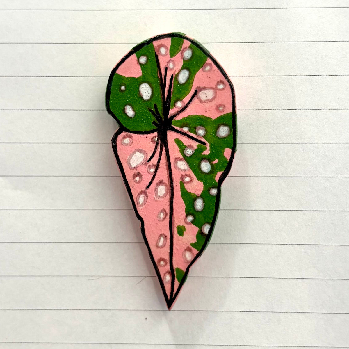 Begonia Variants