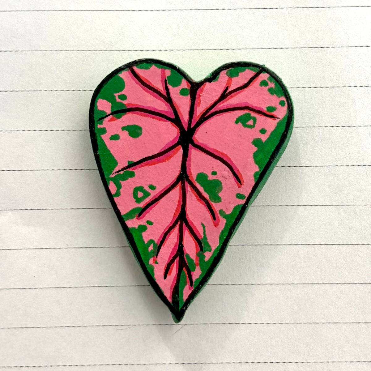 Caladium Variants