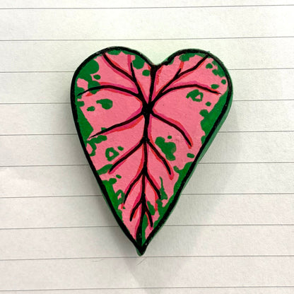 Caladium Variants