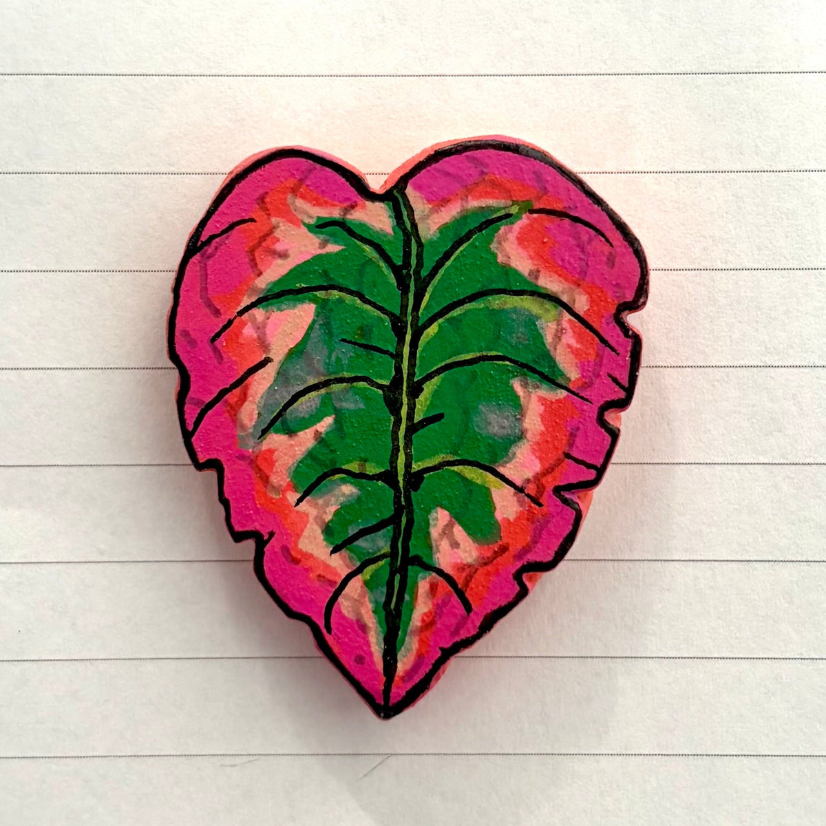 Episcia Variants