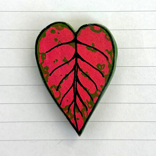 Aglaonema "Pink Butterfly"