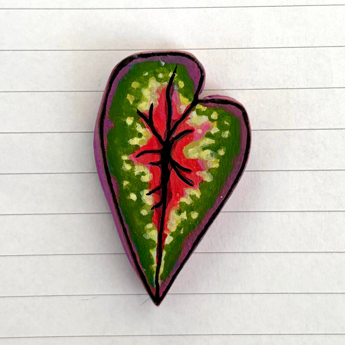 Begonia Variants