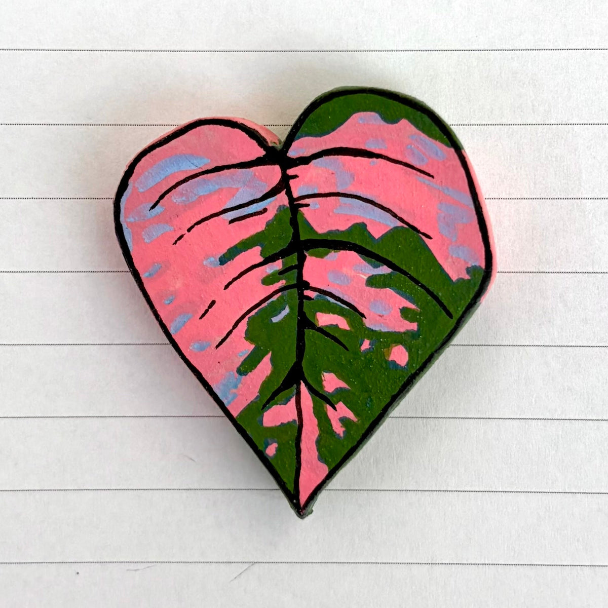 Philodendron "Pink Princess"