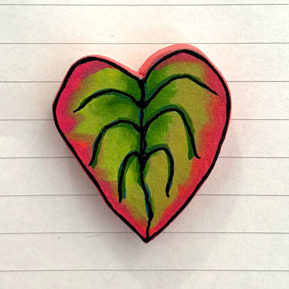 Peperomia Variants