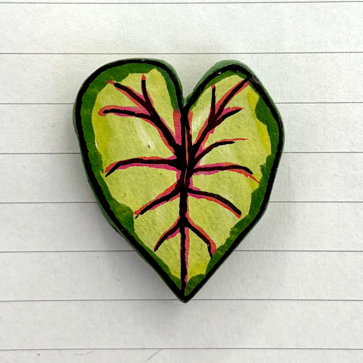 Caladium Variants