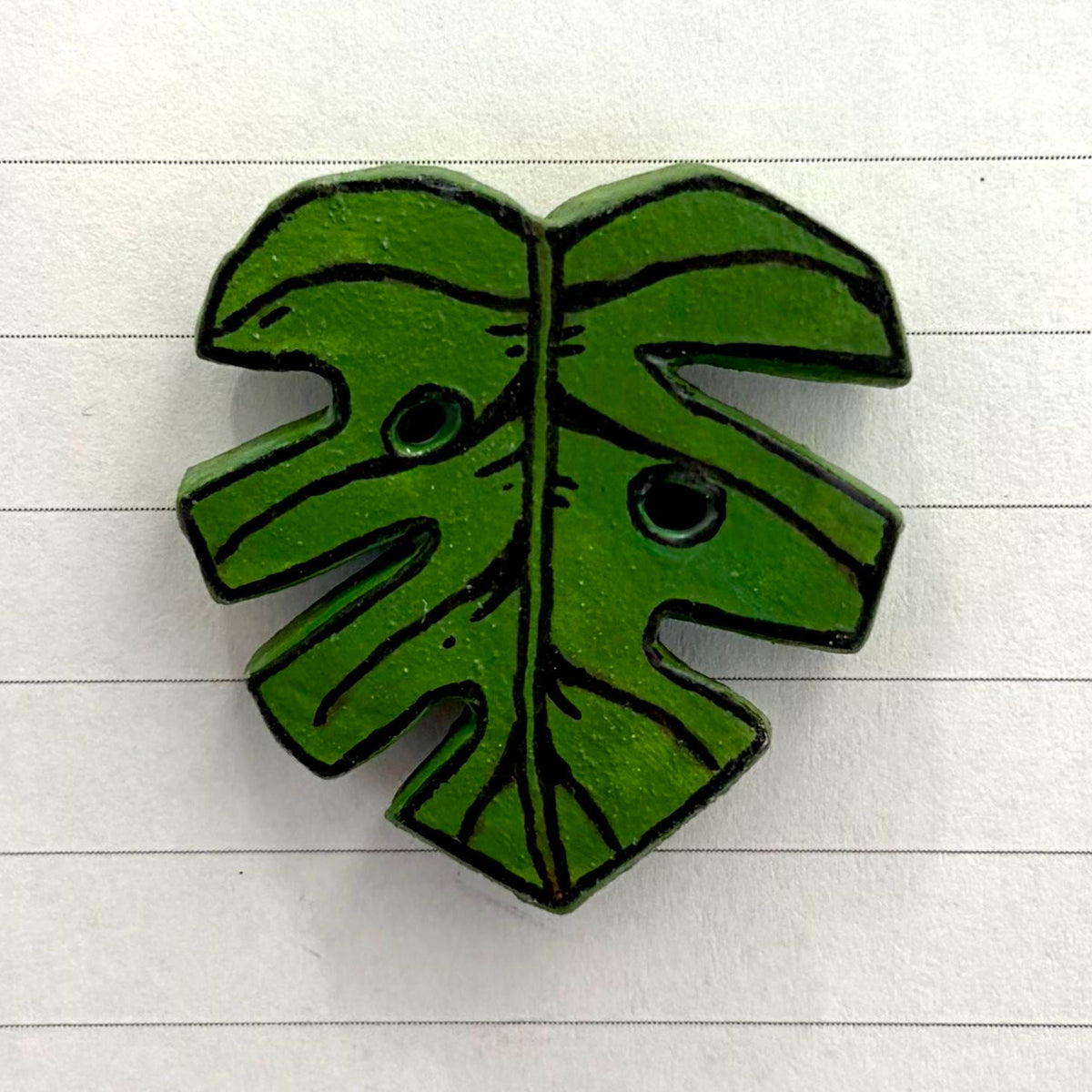 Monstera Variants