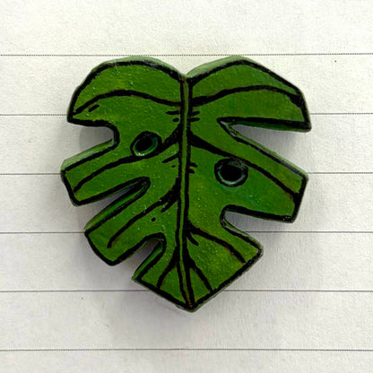 Monstera Variants