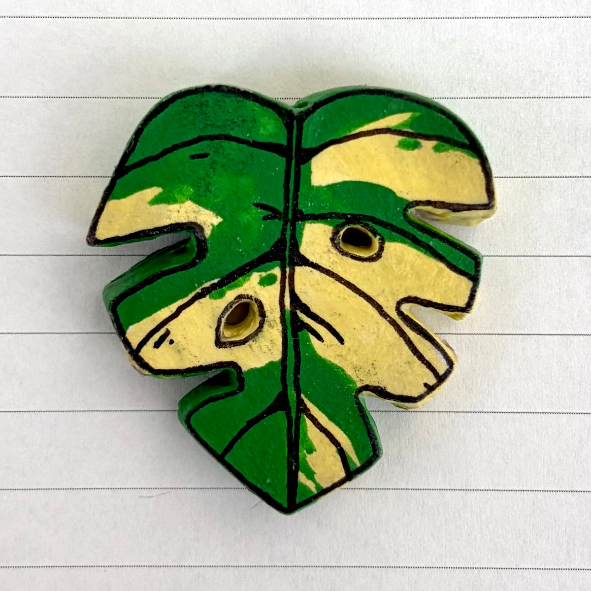 Monstera Variants