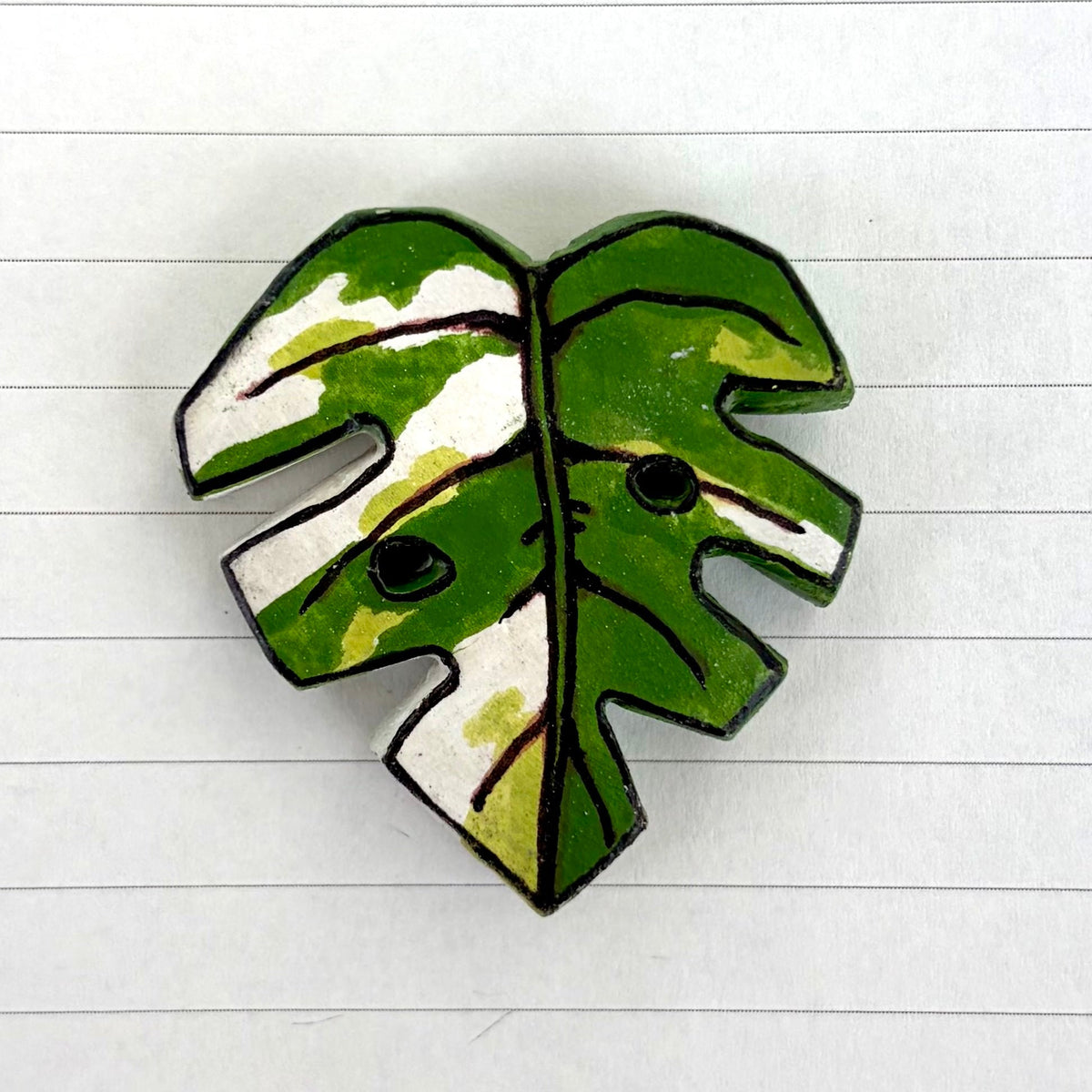 Monstera Variants
