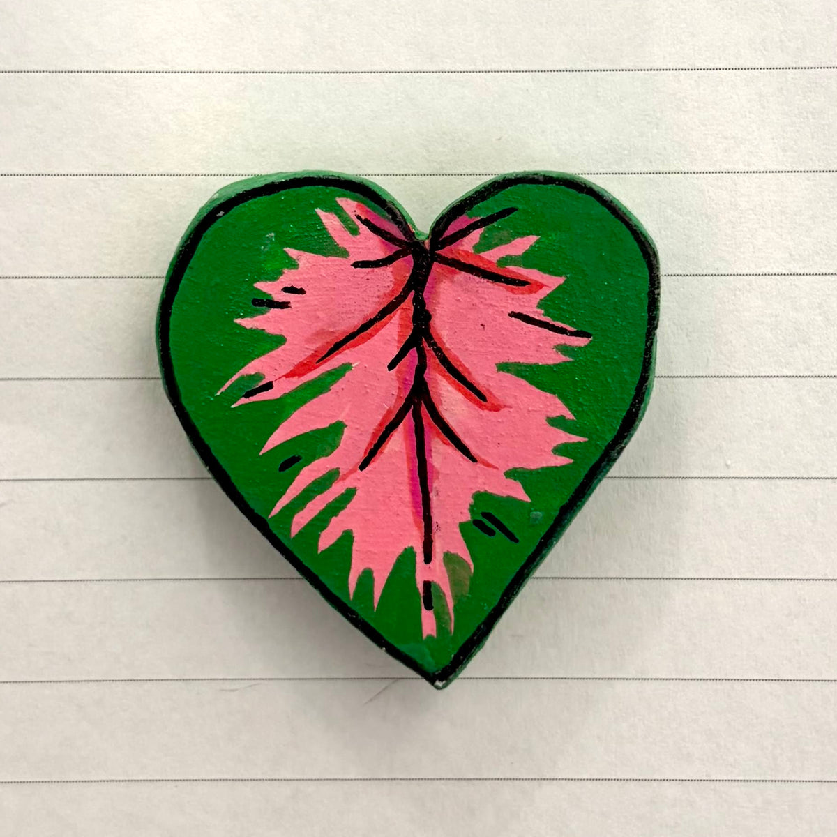 Caladium Variants