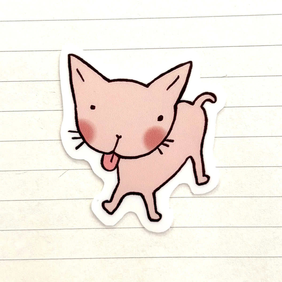 CAT COLLECTION - silly