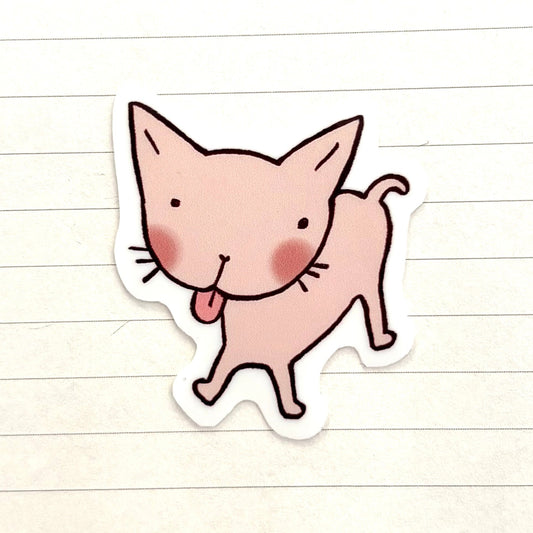 CAT COLLECTION - silly