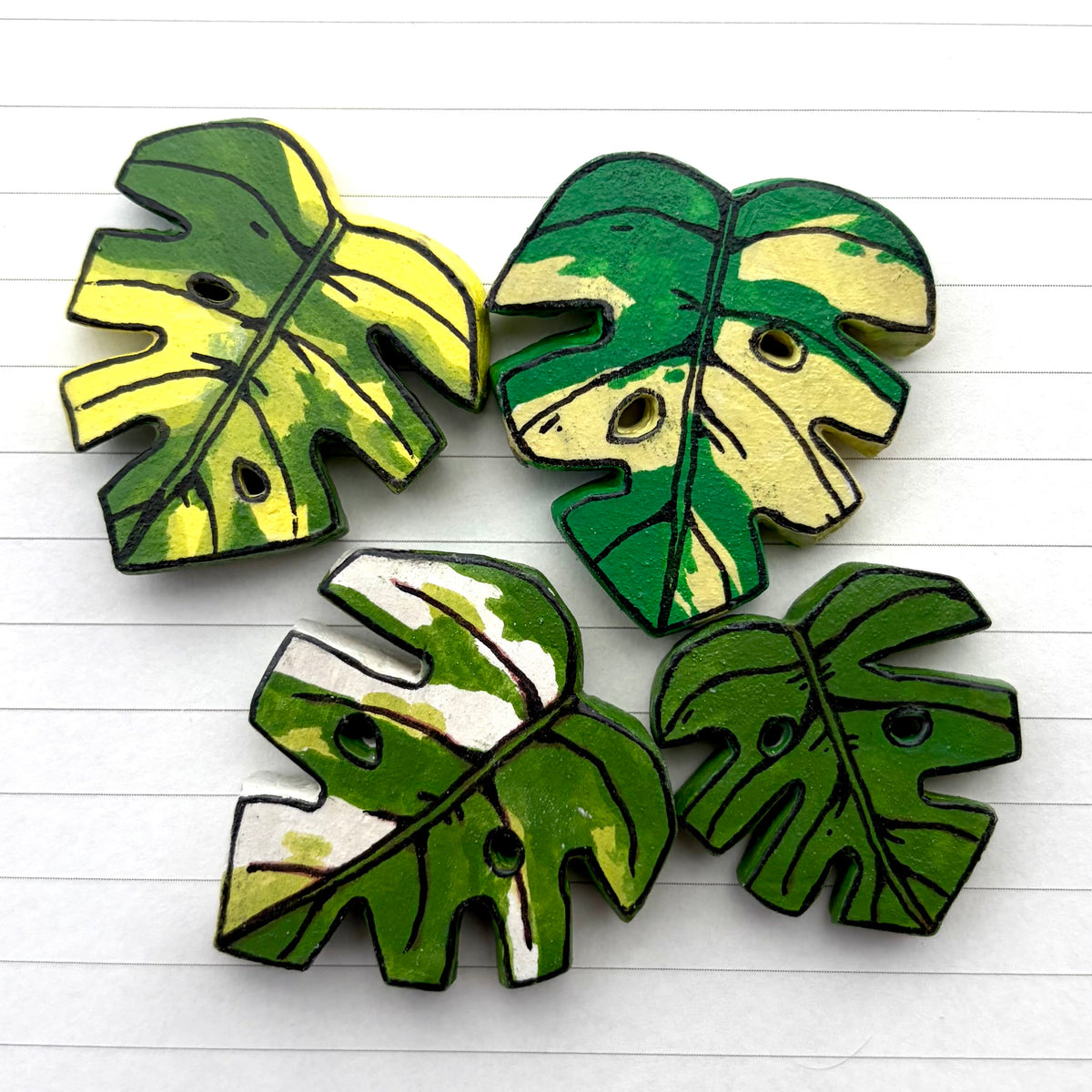 Monstera Variants